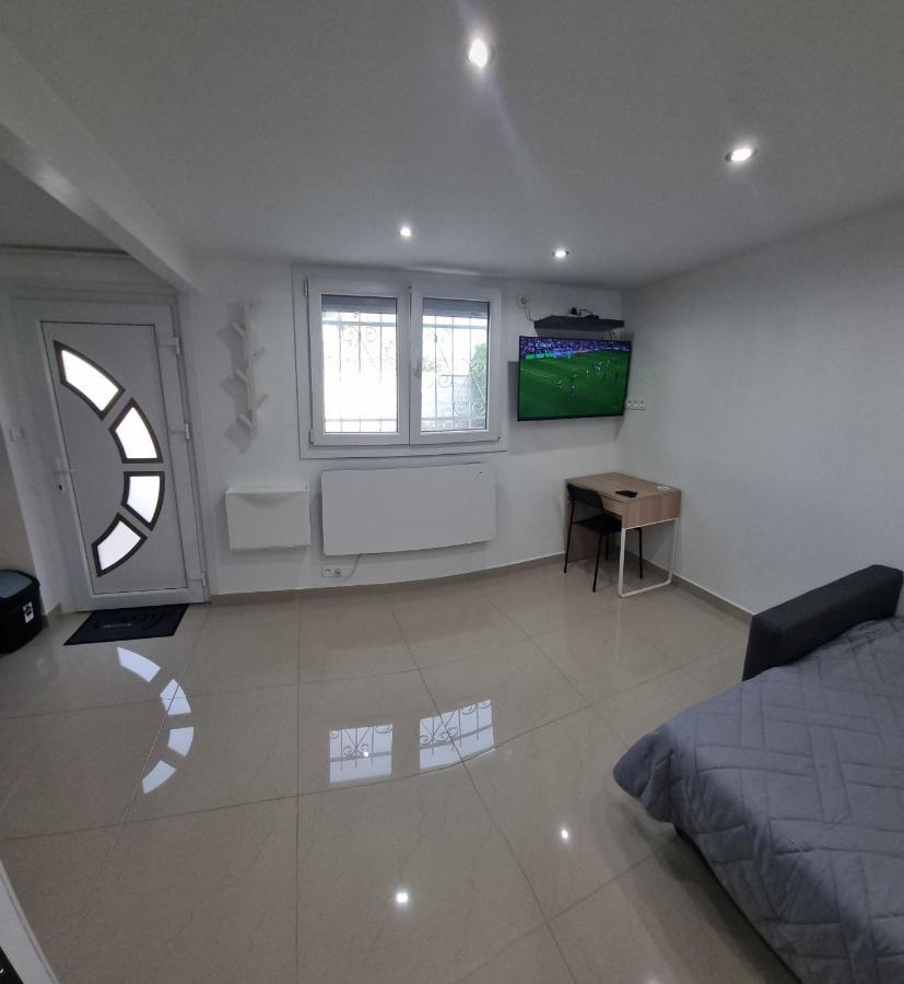 Studio Arena - Groupama Stadium Lyon ميزيو المظهر الخارجي الصورة